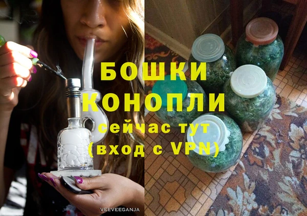 дживик Бронницы